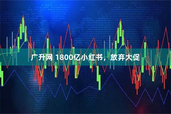 广升网 1800亿小红书,放弃大促