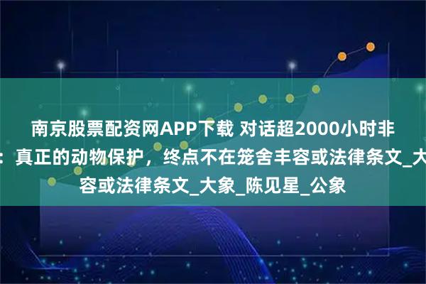 南京股票配资网APP下载 对话超2000小时非洲象野外观察者：真正的动物保护，终点不在笼舍丰容或法律条文_大象_陈见星_公象