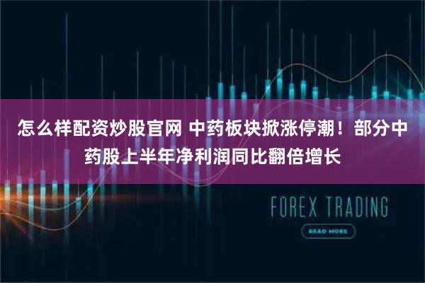 怎么样配资炒股官网 中药板块掀涨停潮！部分中药股上半年净利润同比翻倍增长