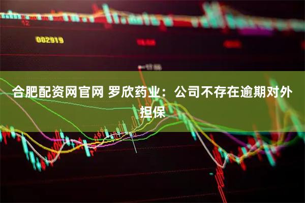 合肥配资网官网 罗欣药业：公司不存在逾期对外担保