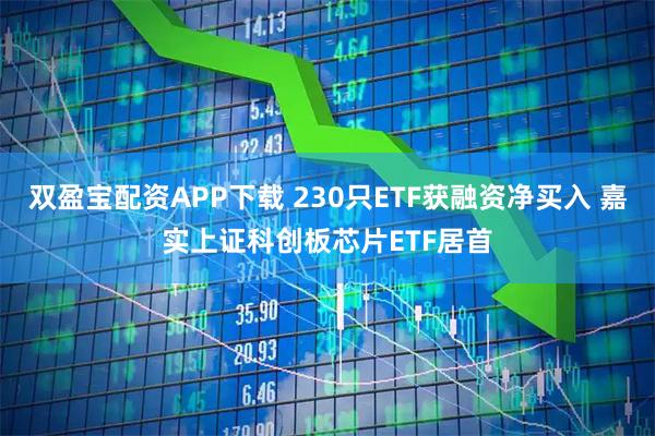 双盈宝配资APP下载 230只ETF获融资净买入 嘉实上证科创板芯片ETF居首