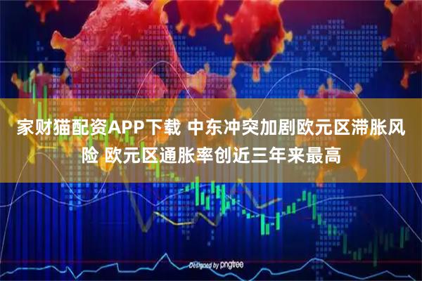 家财猫配资APP下载 中东冲突加剧欧元区滞胀风险 欧元区通胀率创近三年来最高